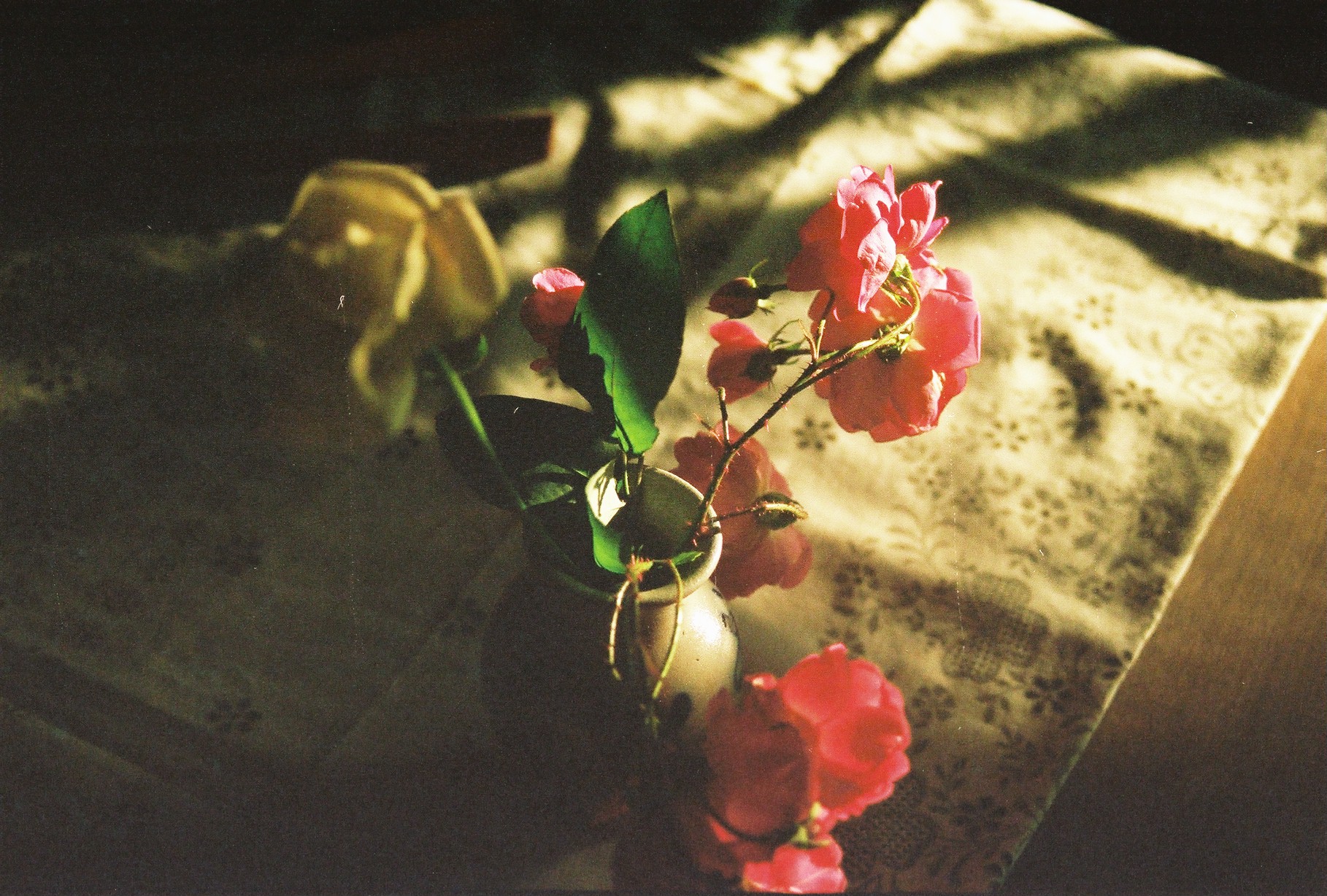 Cuca, uma história de família